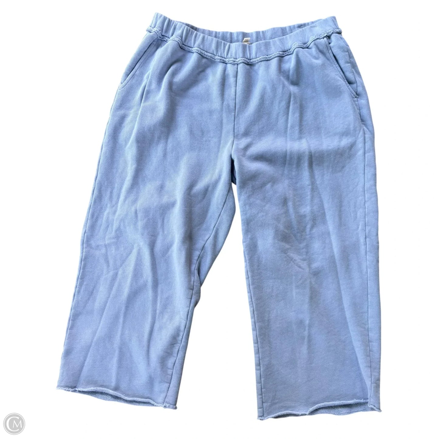 Pants Lounge By Eileen Fisher In Blue, Size: L