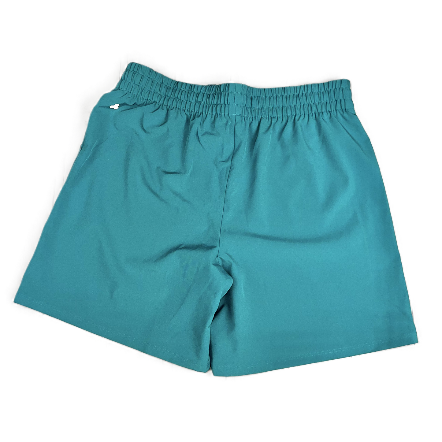 Teal Athletic Shorts By Tek Gear, Size: 1x