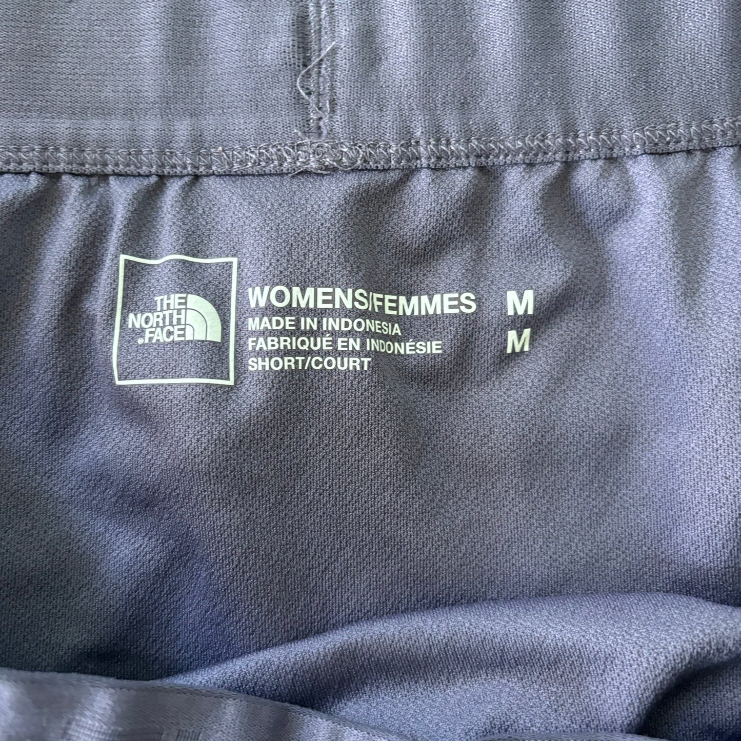 Athletic Shorts By The North Face In Purple, Size: M