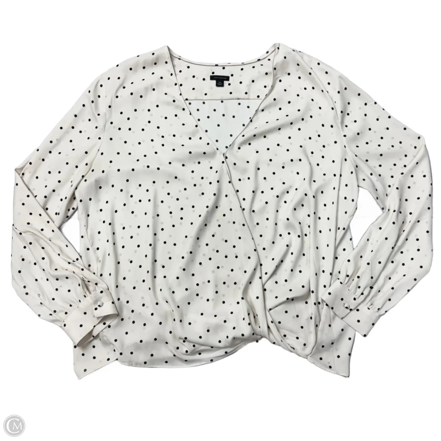Blouse Long Sleeve By Ann Taylor In White, Size: Xl