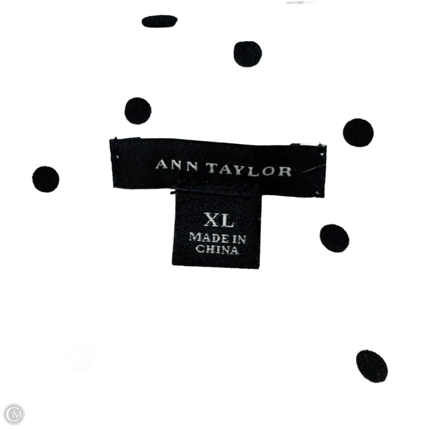 Blouse Long Sleeve By Ann Taylor In White, Size: Xl