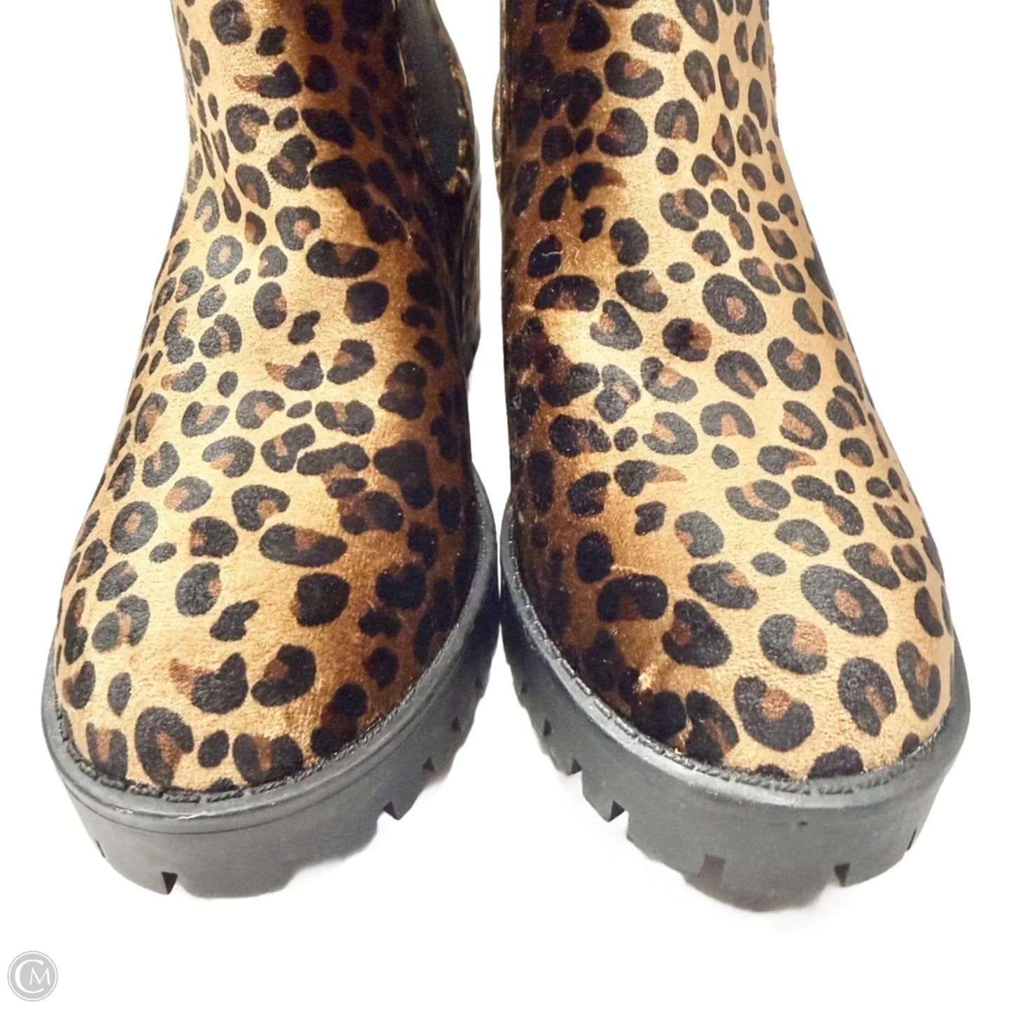 Boots Ankle Heels By Seven 7 In Leopard Print, Size: 6