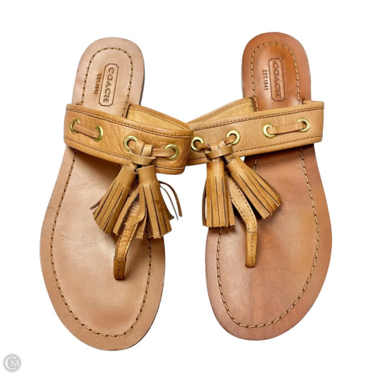 Sandals Designer By Coach In Brown, Size: 6