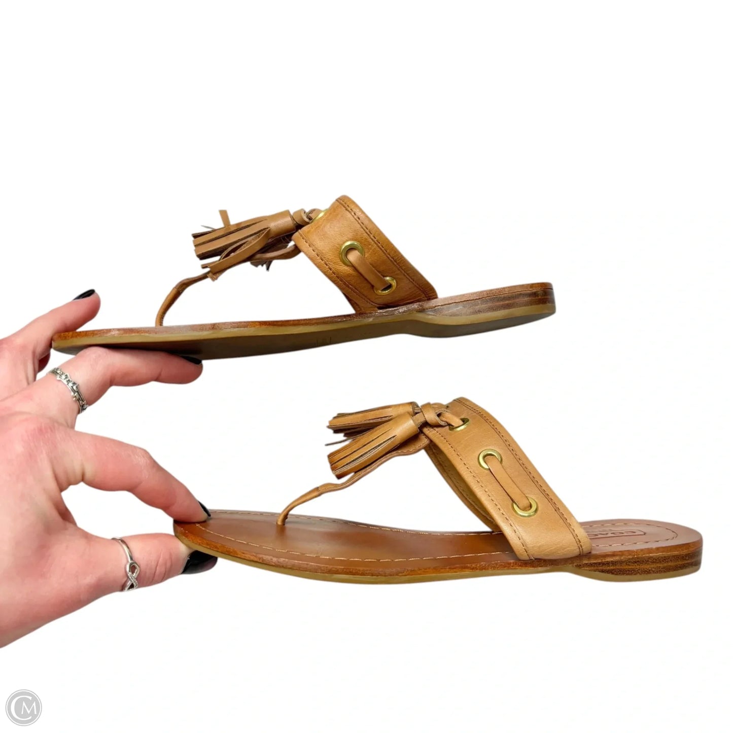 Sandals Designer By Coach In Brown, Size: 6