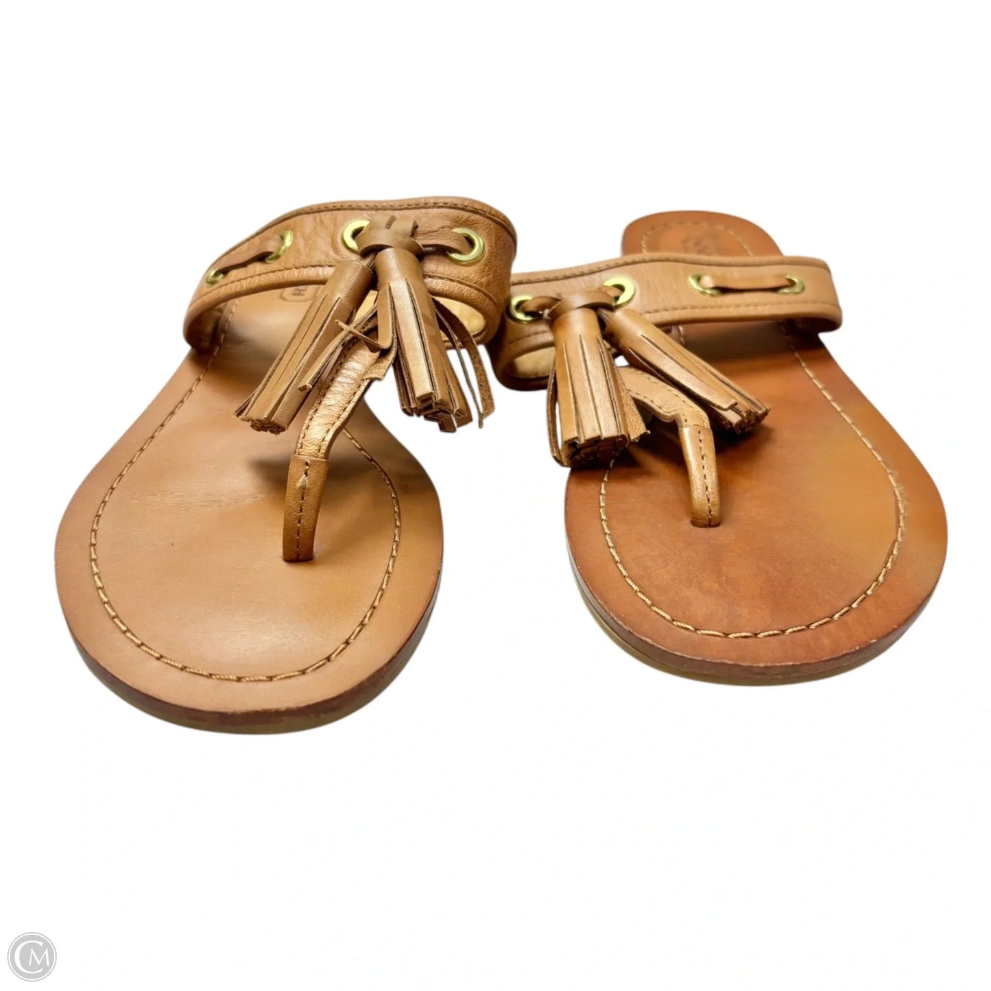Sandals Designer By Coach In Brown, Size: 6