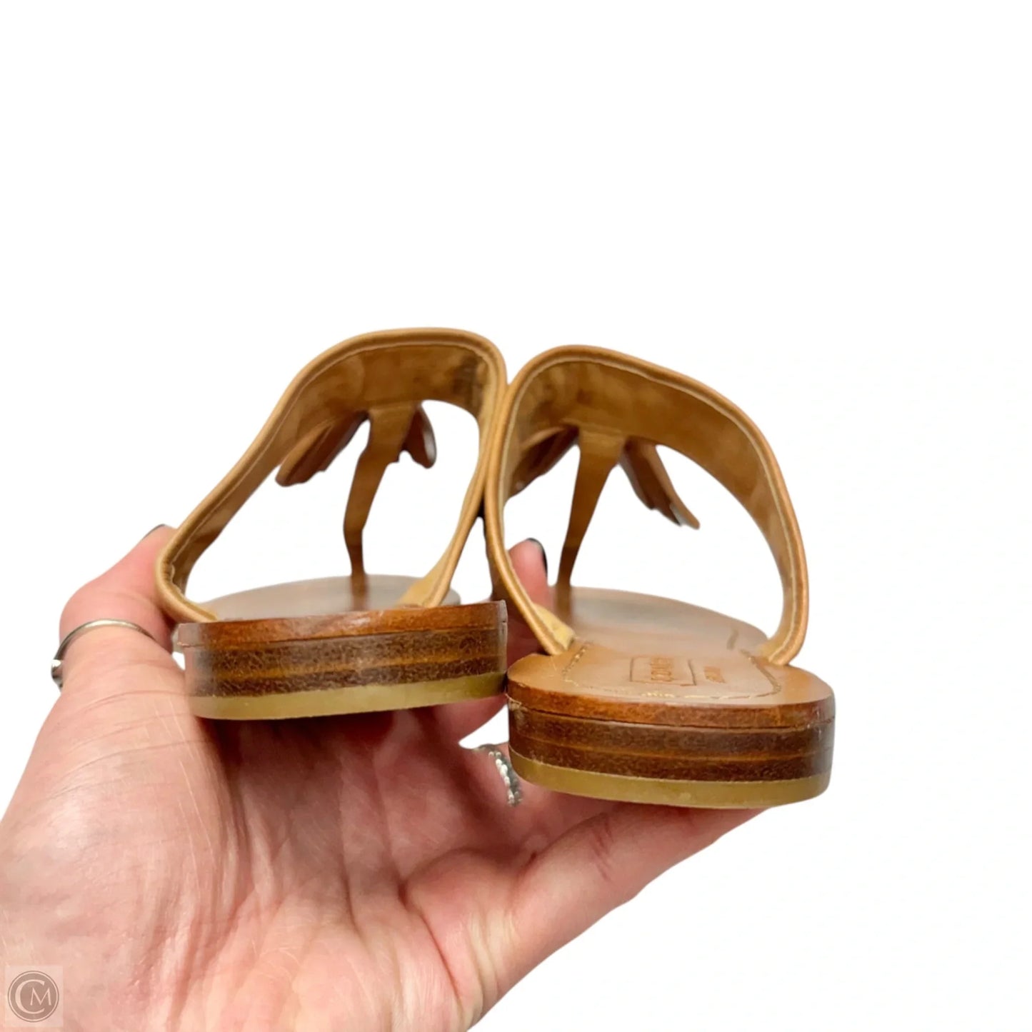 Sandals Designer By Coach In Brown, Size: 6