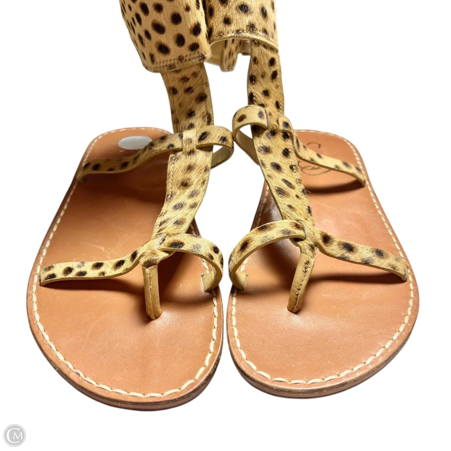 Sandals Flats By Sam Edelman In Animal Print, Size: 7.5