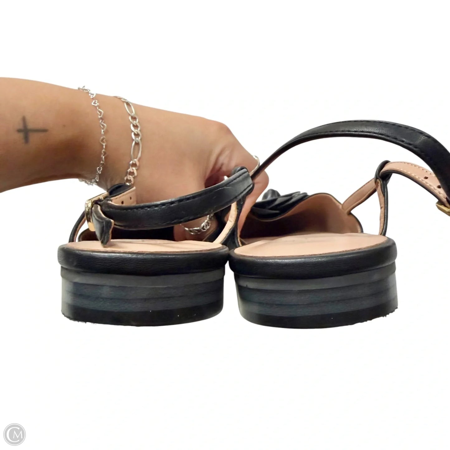 Shoes Flats By Linea Paolo In Black, Size: 10