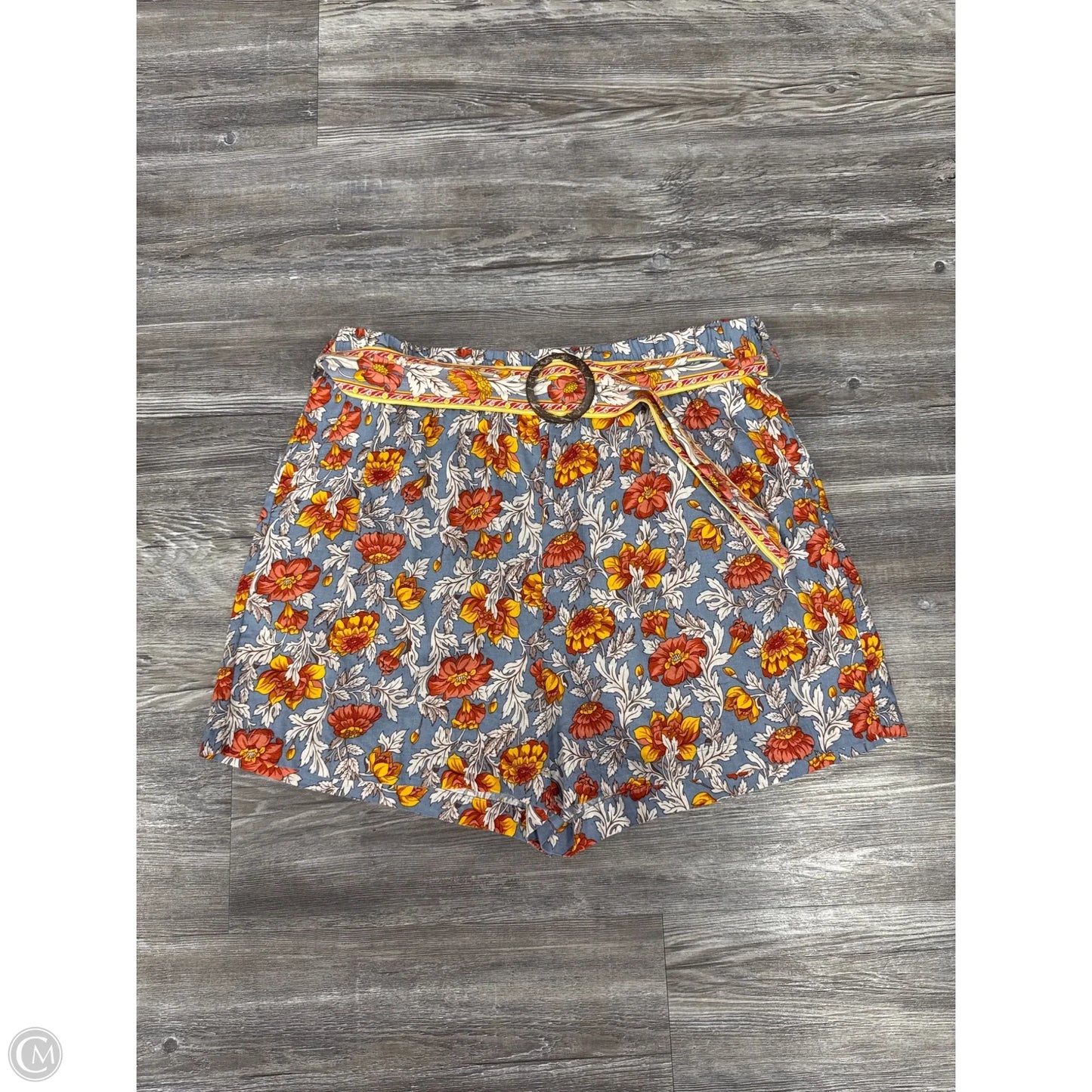 Shorts By Rachel Zoe In Blue, Size: L