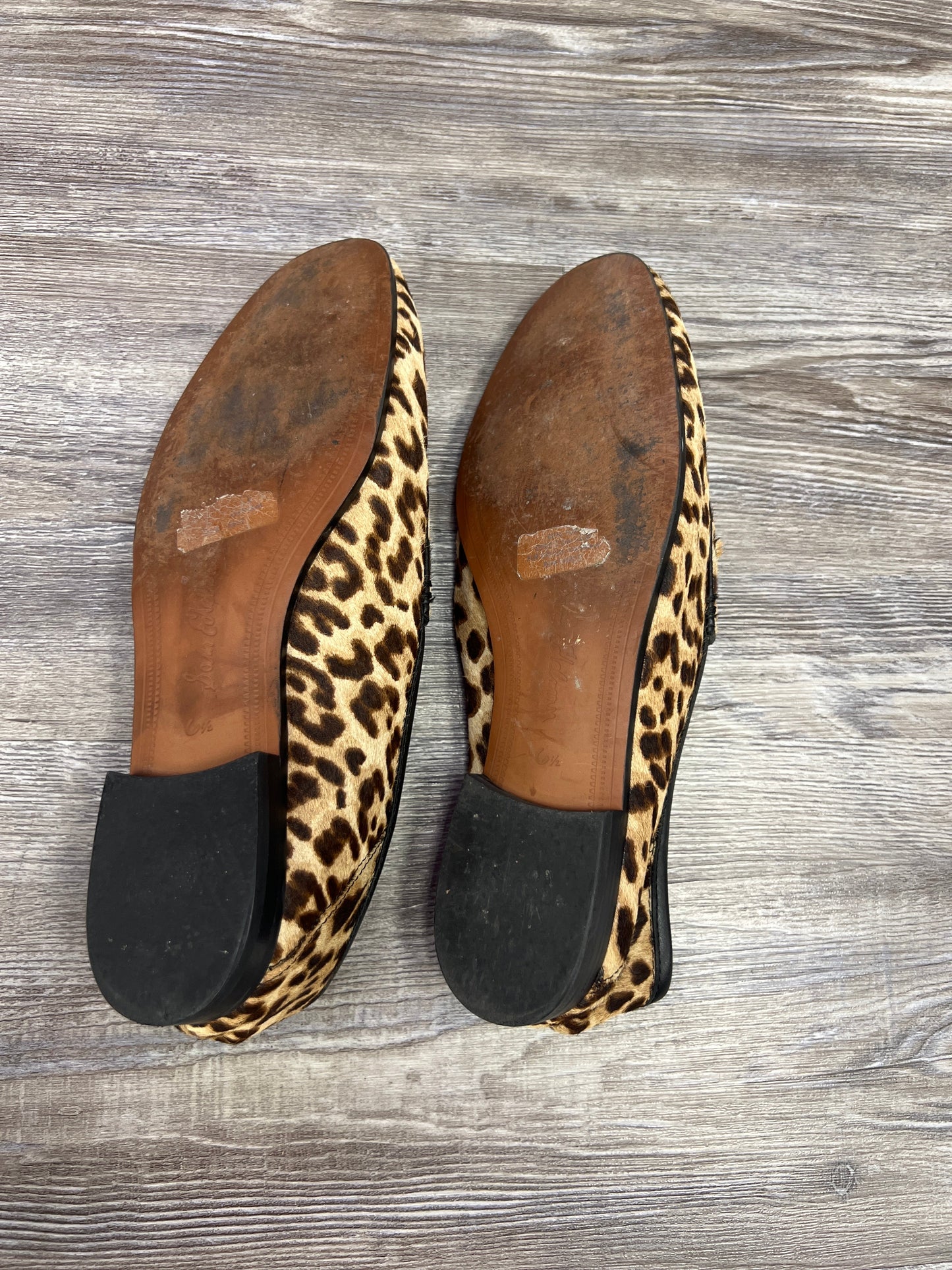 Animal Print Shoes Designer Sam Edelman, Size 6.5