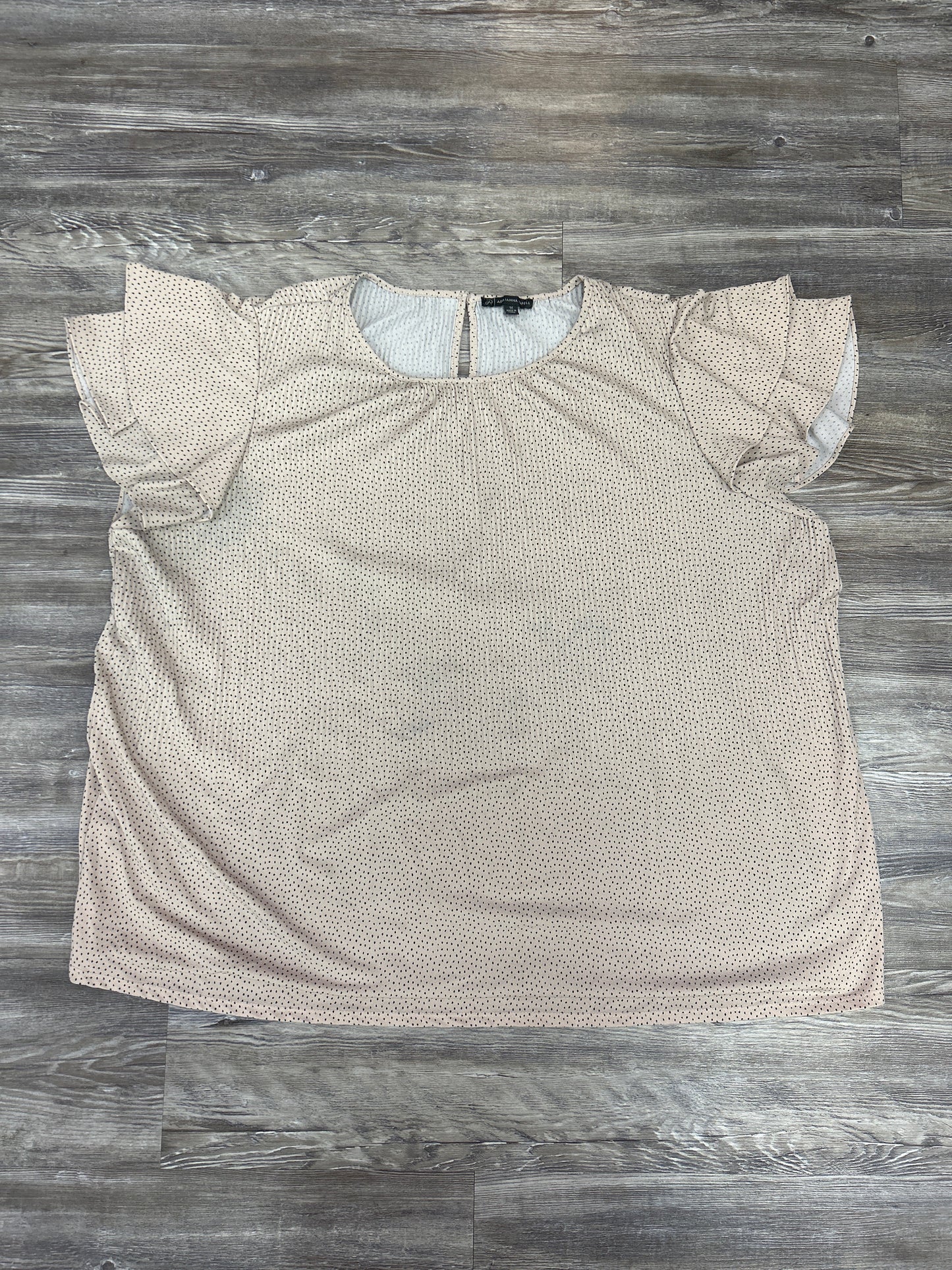 Top Short Sleeve By Adrianna Papell In Beige, Size: 1x