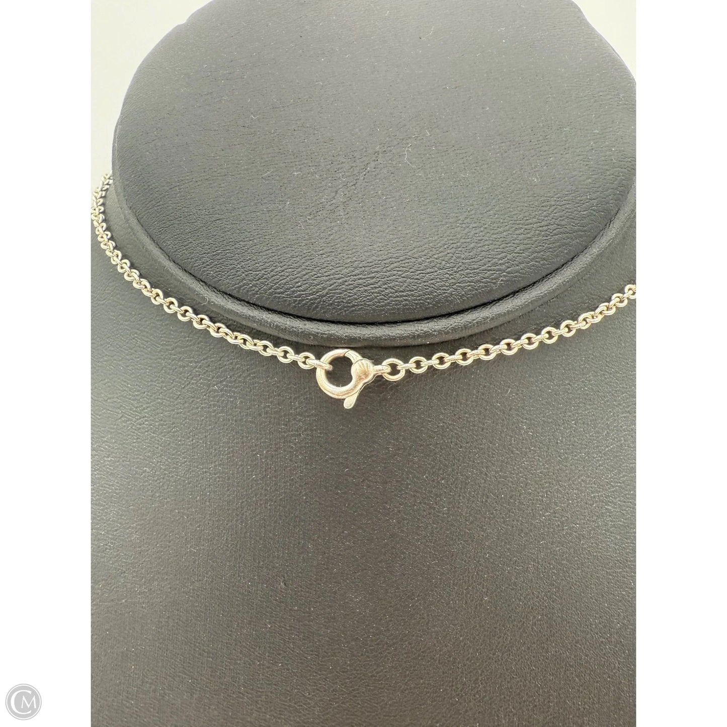 Necklace Luxury Designer By Tiffany And Company