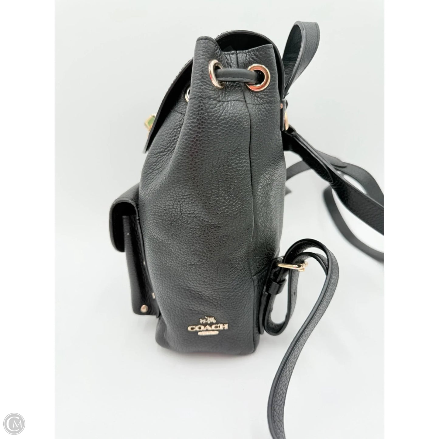 Backpack Designer By Coach, Size: Small