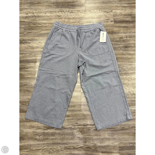 Athletic Pants By Athleta In Blue, Size: 2x