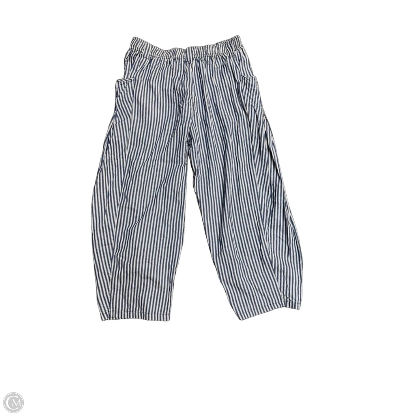 Pants Cargo & Utility By Easel In Blue & Cream, Size: L