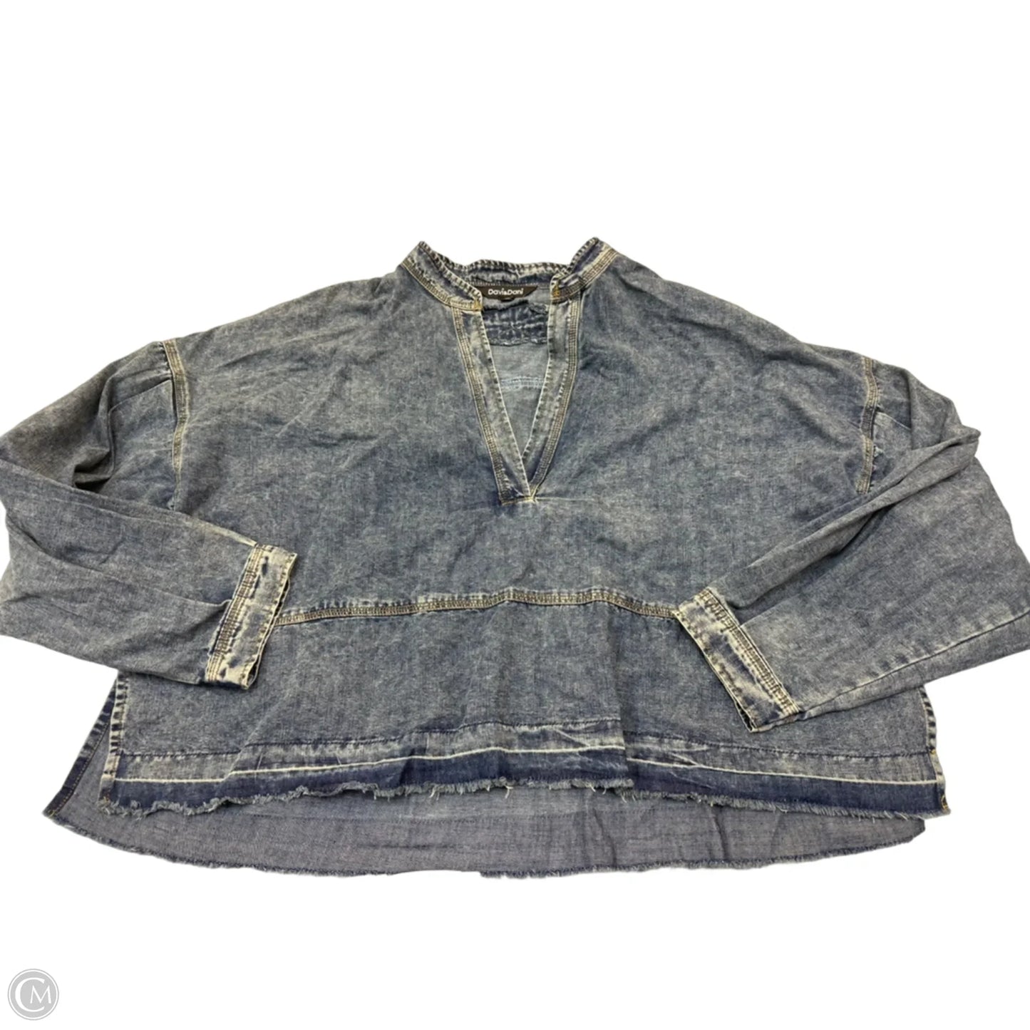 Top Long Sleeve By Davi & Dani In Blue, Size: 1x