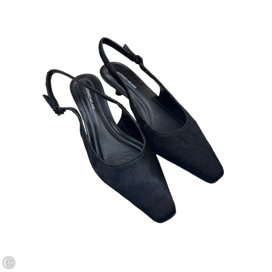 Shoes Heels Kitten By Antonio Melani In Black, Size: 8