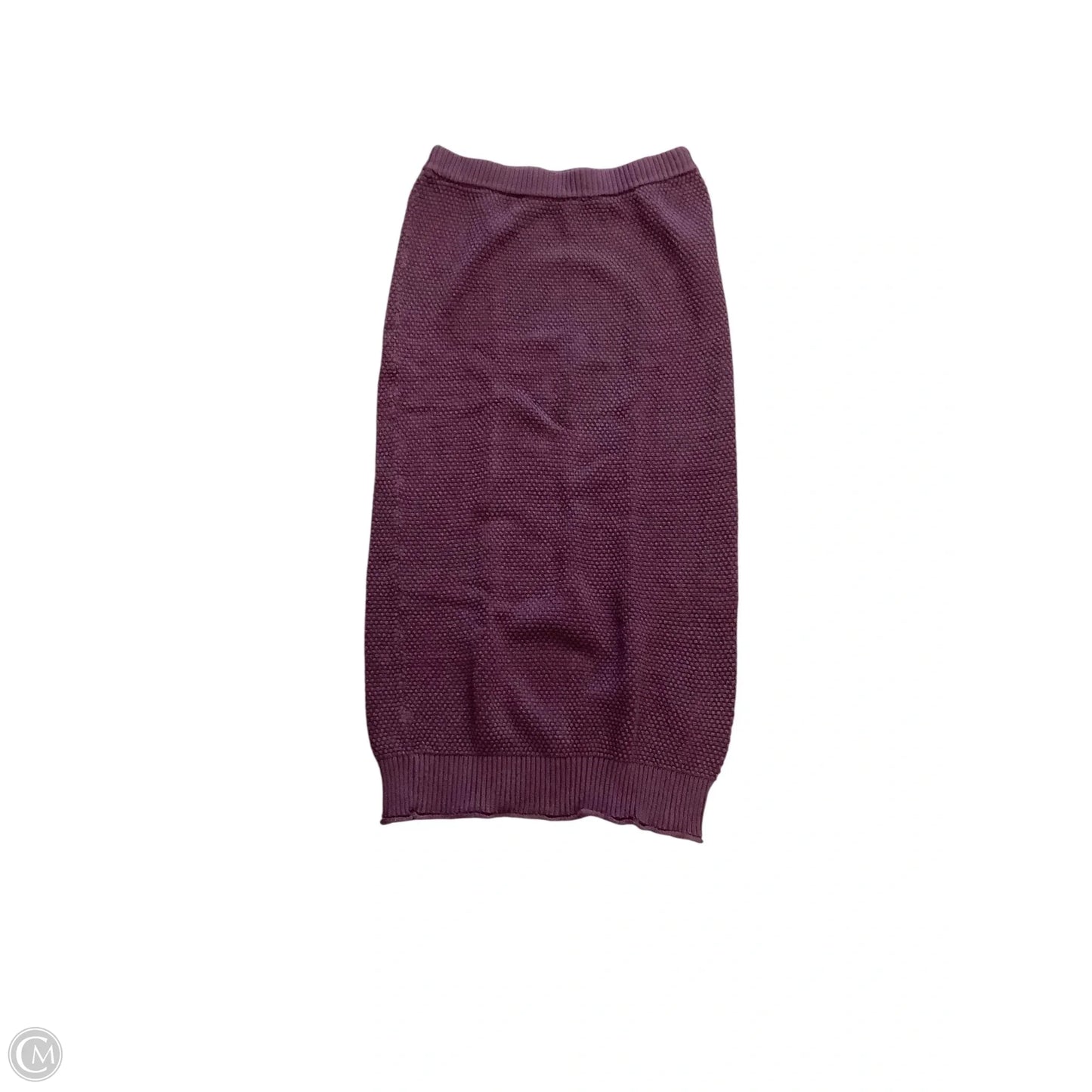 Skirt Set 2pc By Free People In Purple, Size: S