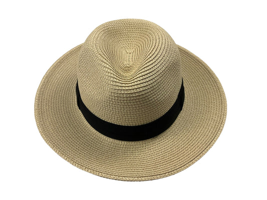 Hat Panama Clothes Mentor