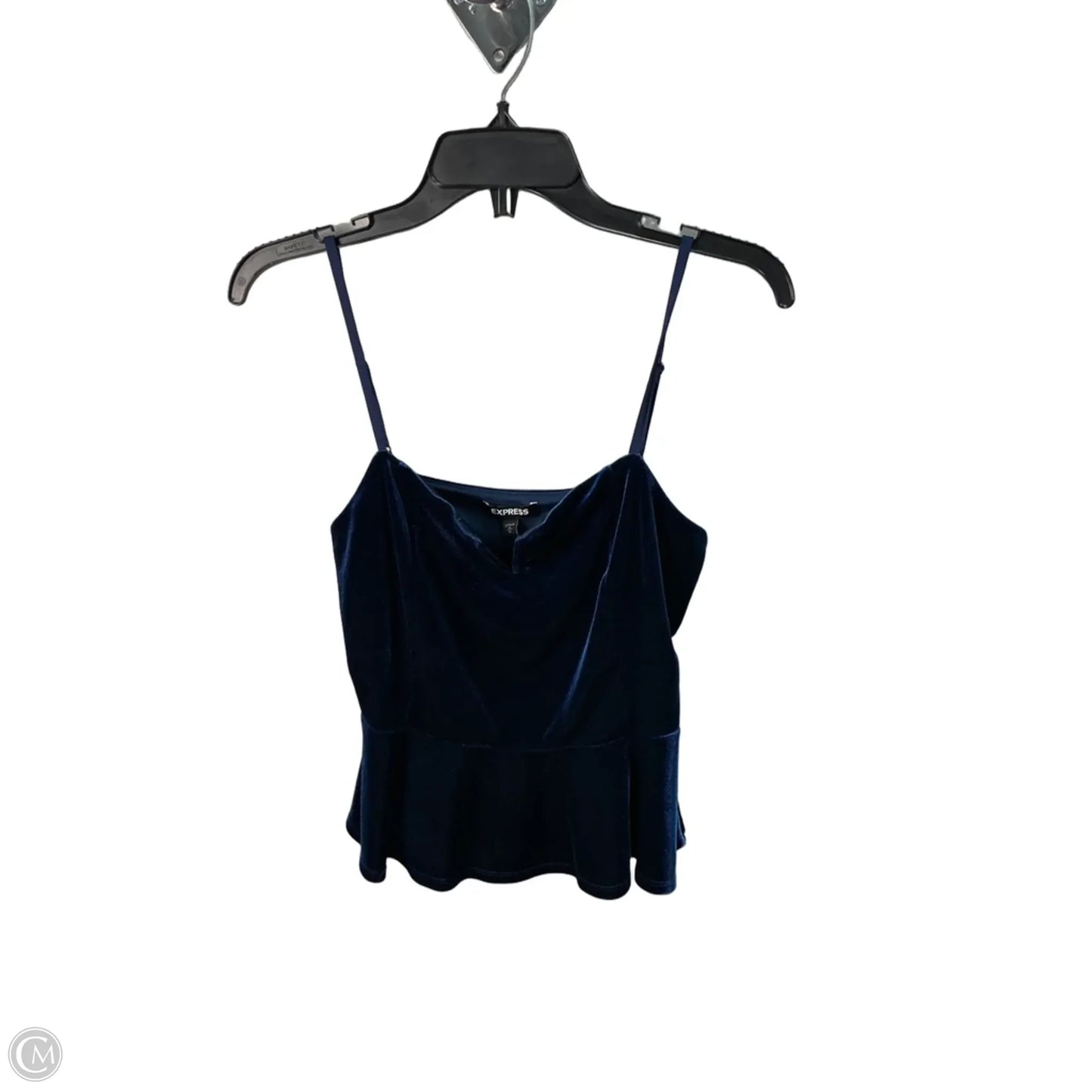 Top Sleeveless By Express In Blue, Size: M