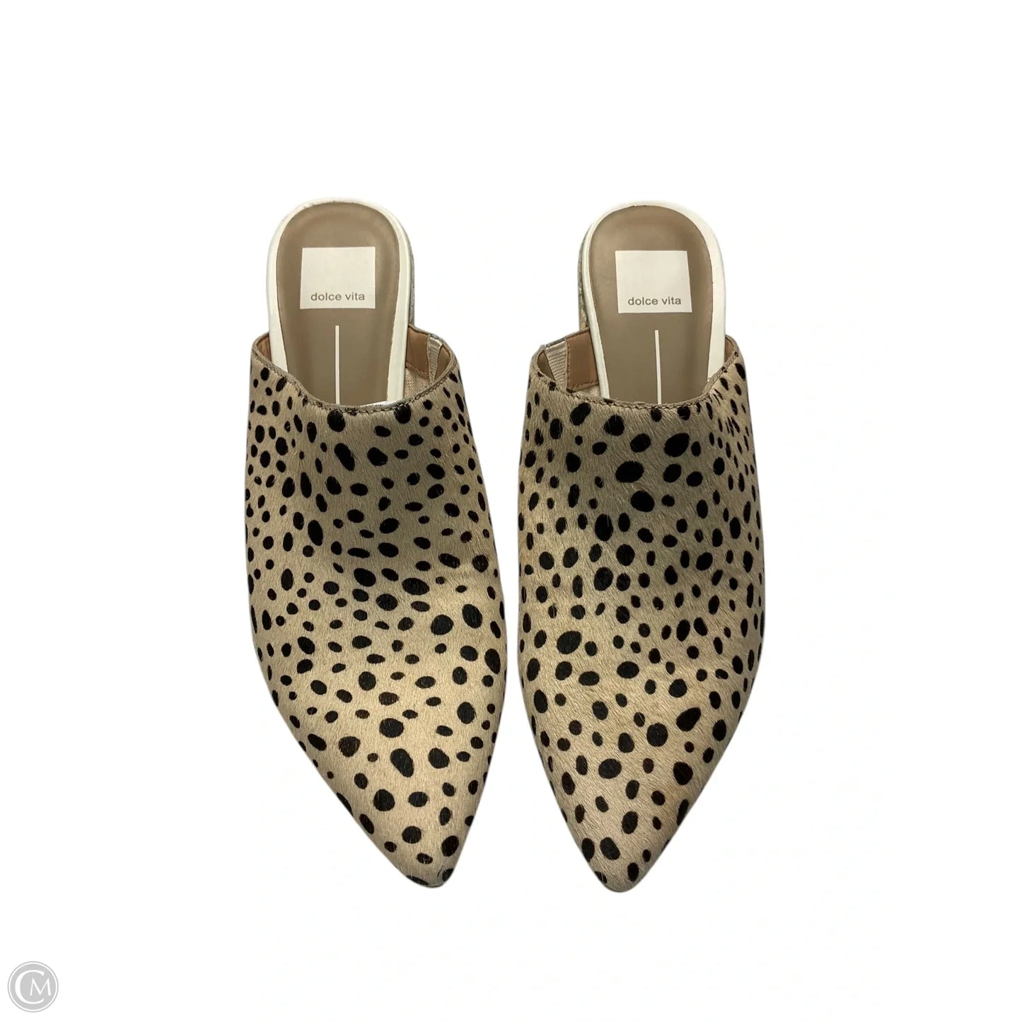 Shoes Heels Block By Dolce Vita In Animal Print, Size: 7