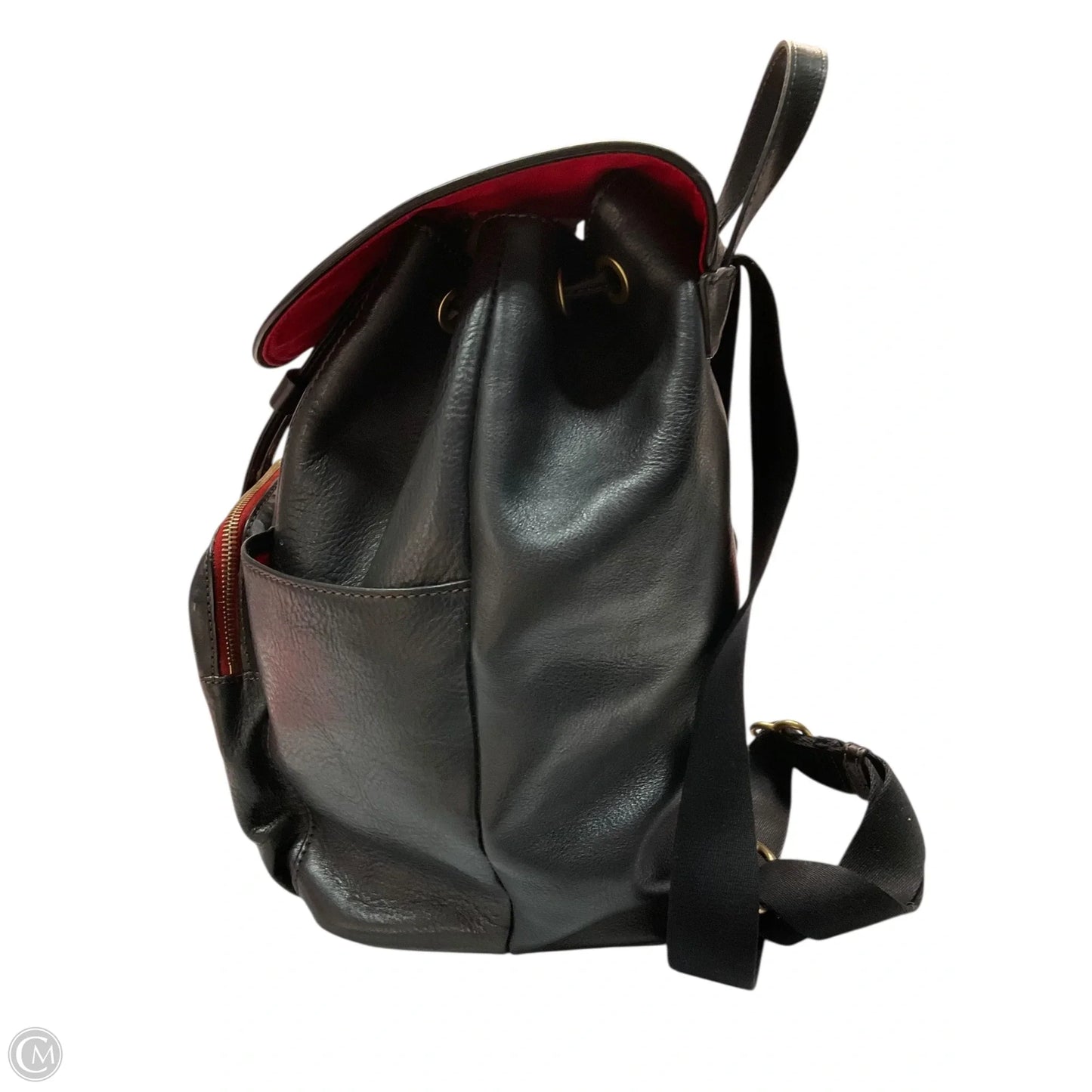 Backpack Designer By Dooney And Bourke, Size: Large