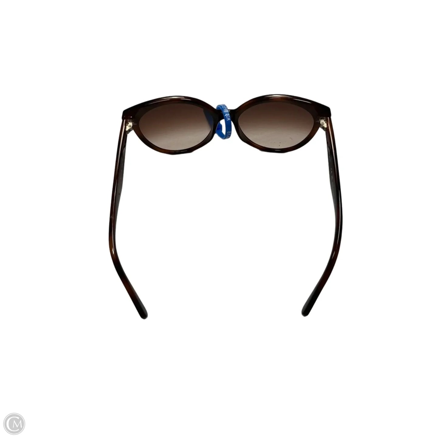 Sunglasses Luxury Designer By Ferragamo, Size:
