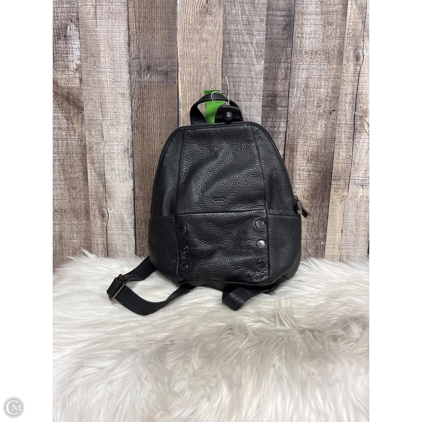 Backpack Leather By Hammitt, Size: Medium