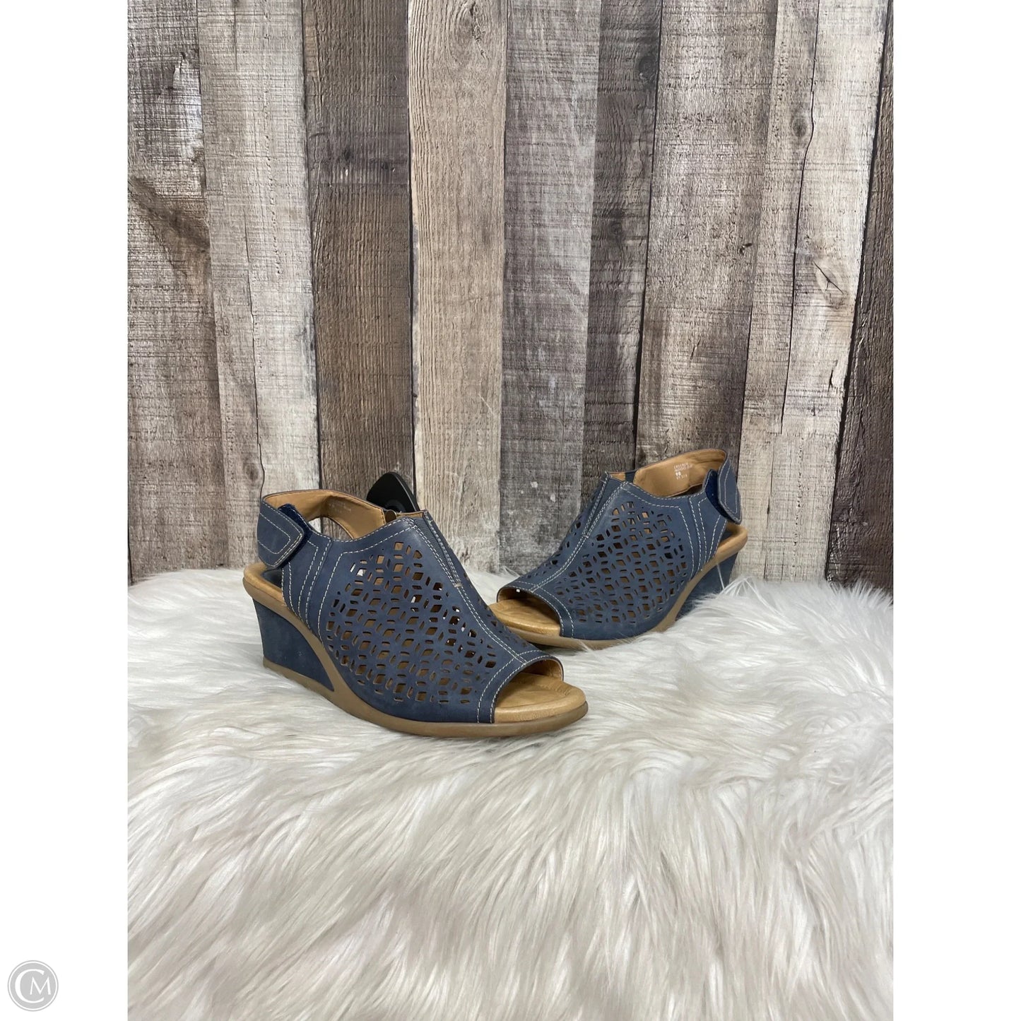 Sandals Heels Wedge By Earth In Blue, Size: 9
