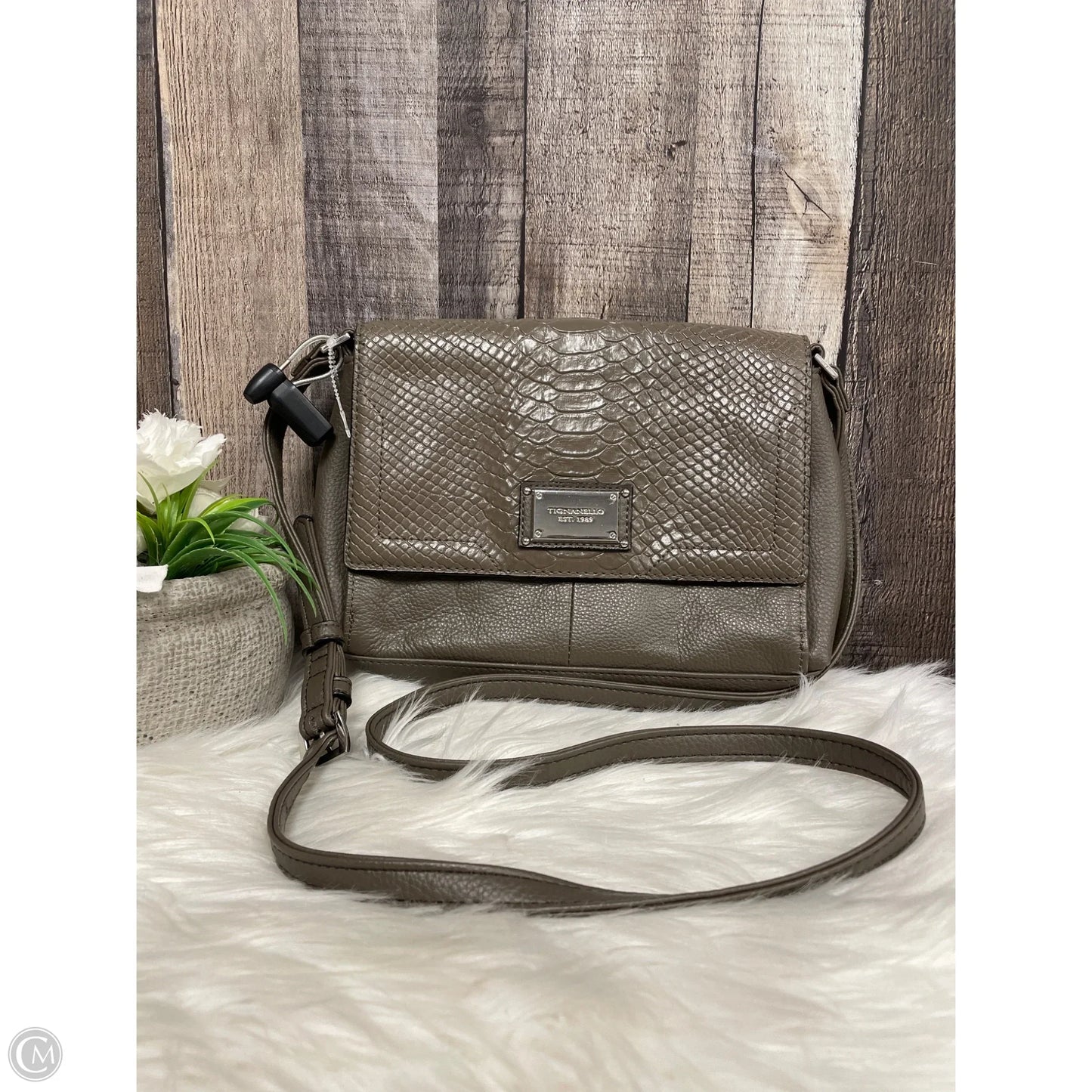 Crossbody Leather By Tignanello  Purses, Size: Small