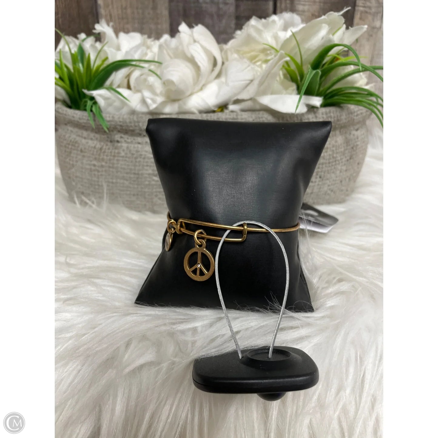 Bracelet Bangle By Alex And Ani