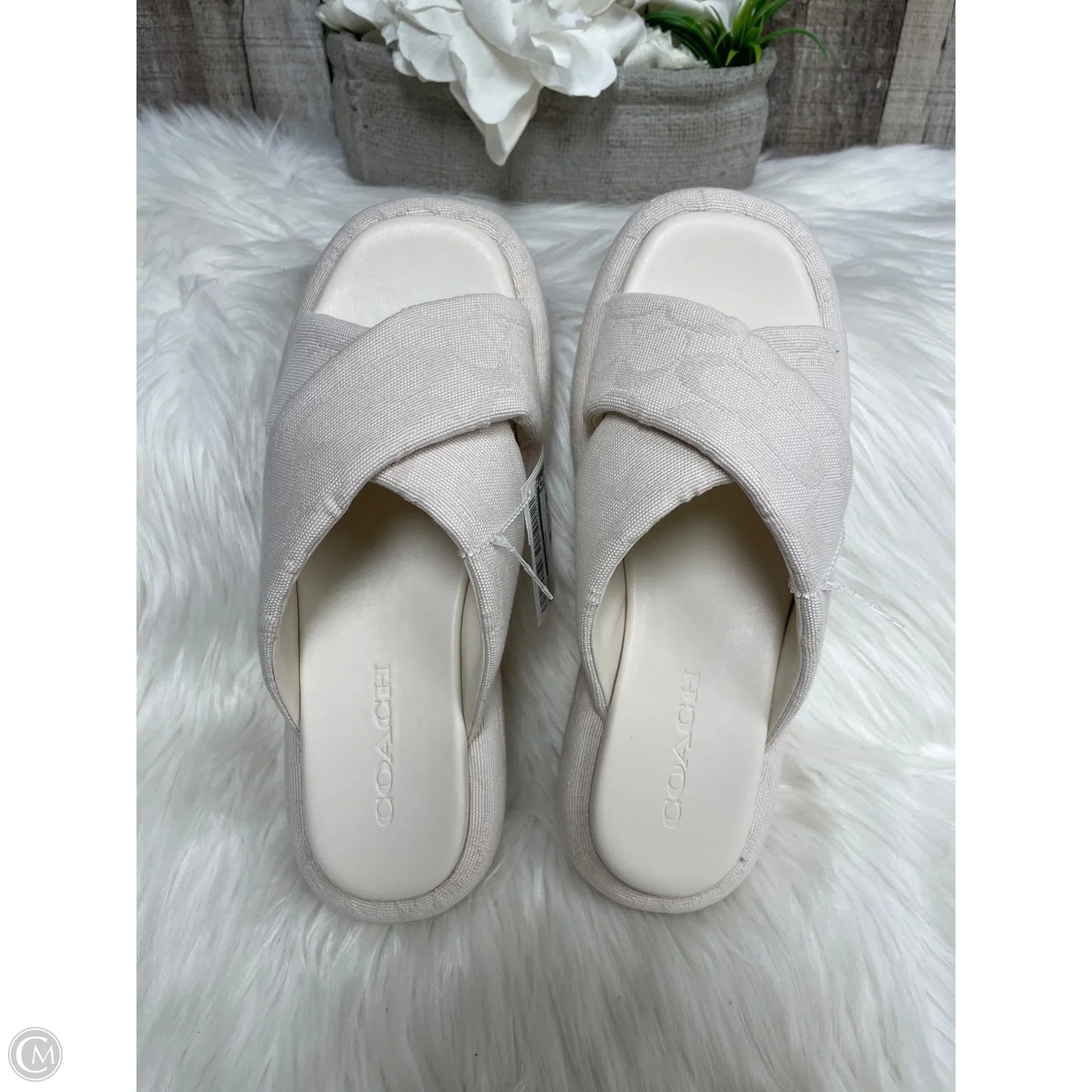 Sandals Designer By Coach In Ivory, Size: 7.5