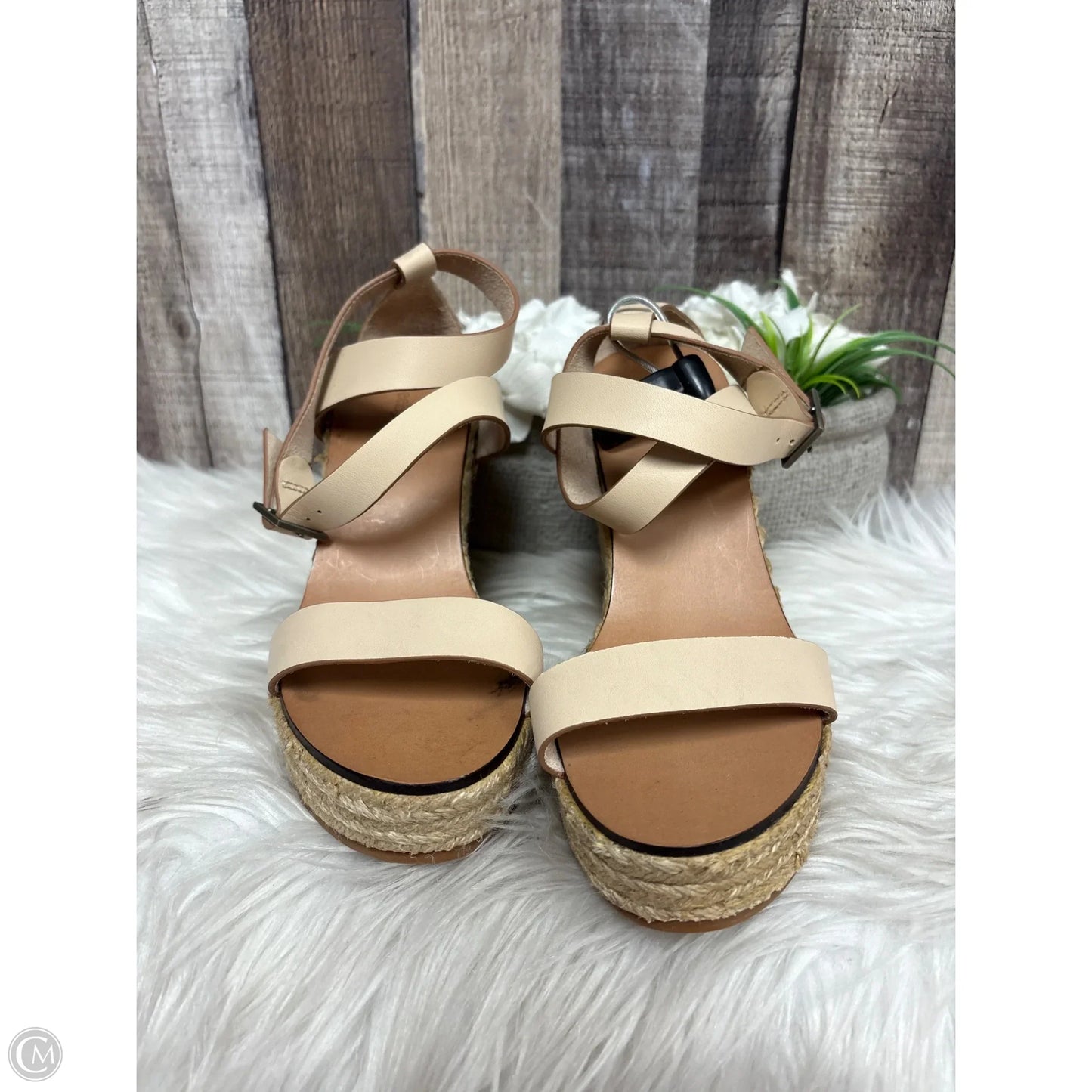Sandals Designer By See By Chloe In Tan, Size: 7.5