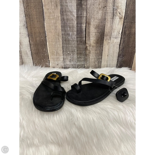 Sandals Flats By Steve Madden In Black, Size: 9