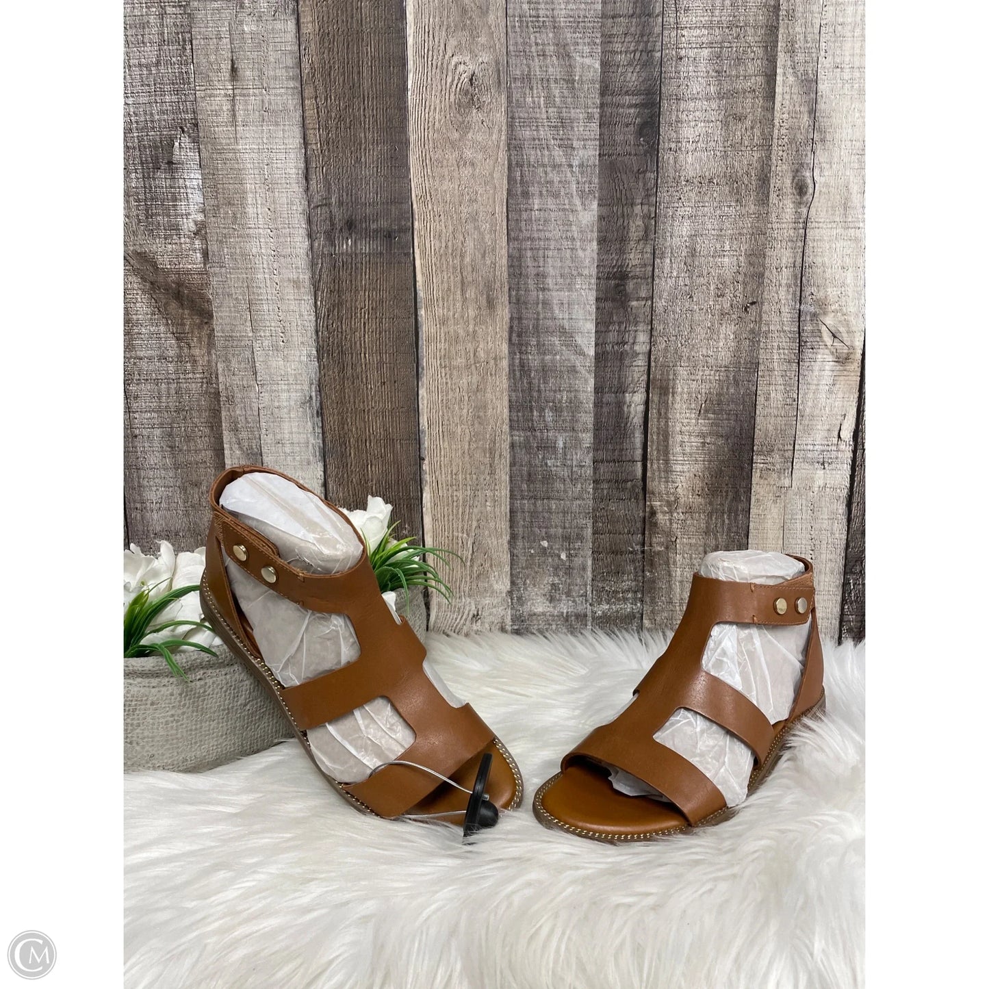 Sandals Flats By Franco Sarto In Brown, Size: 6