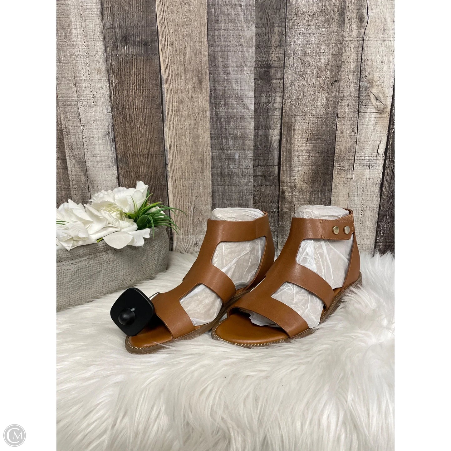 Sandals Flats By Franco Sarto In Brown, Size: 6