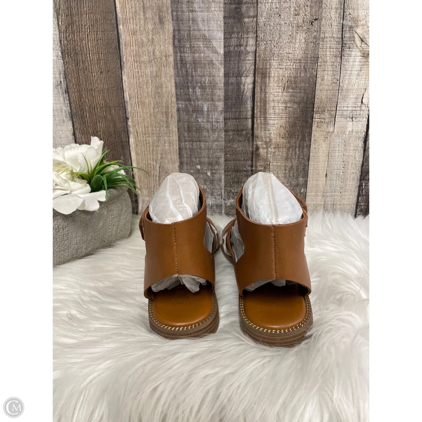 Sandals Flats By Franco Sarto In Brown, Size: 6