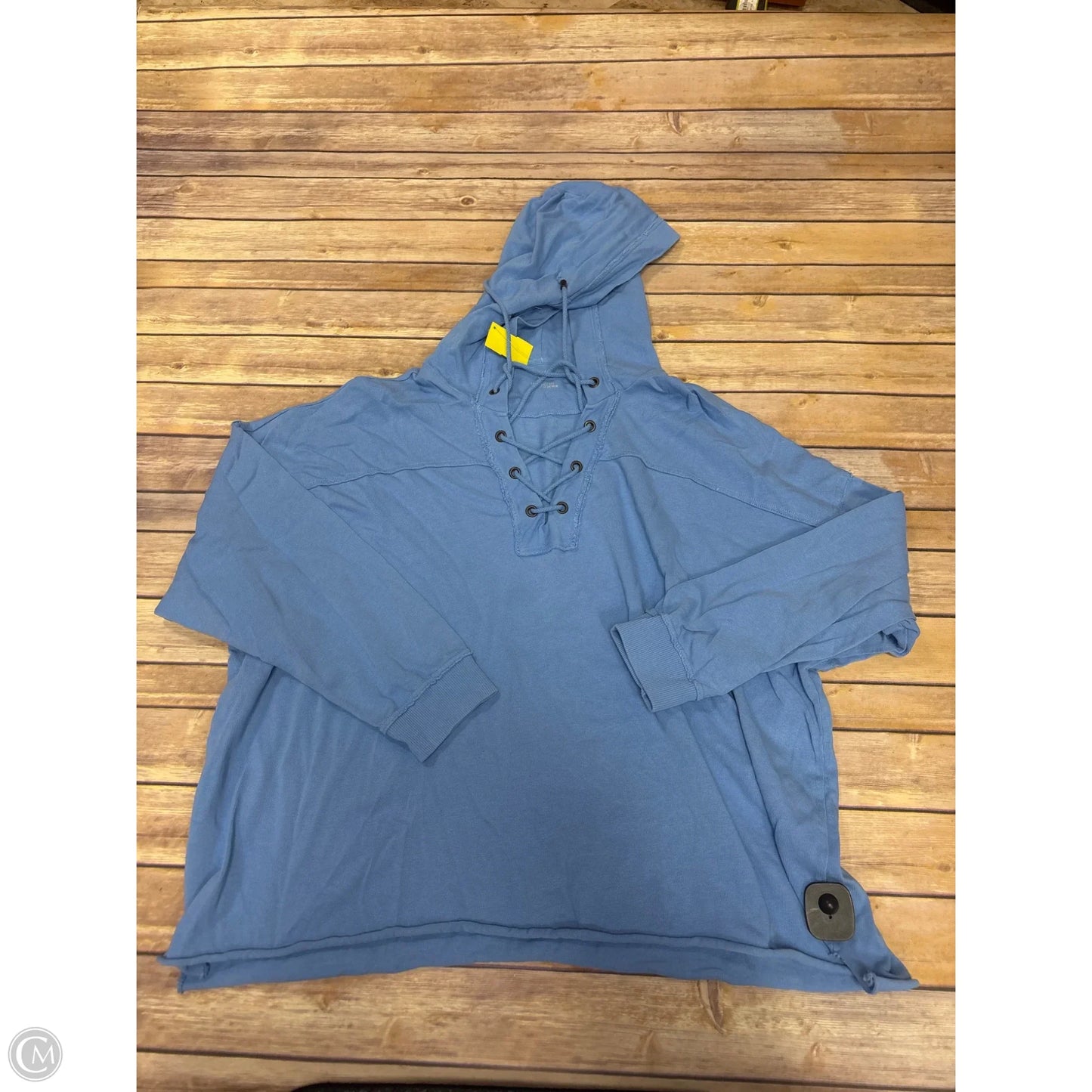 Sweatshirt Hoodie By Aerie In Blue, Size: L
