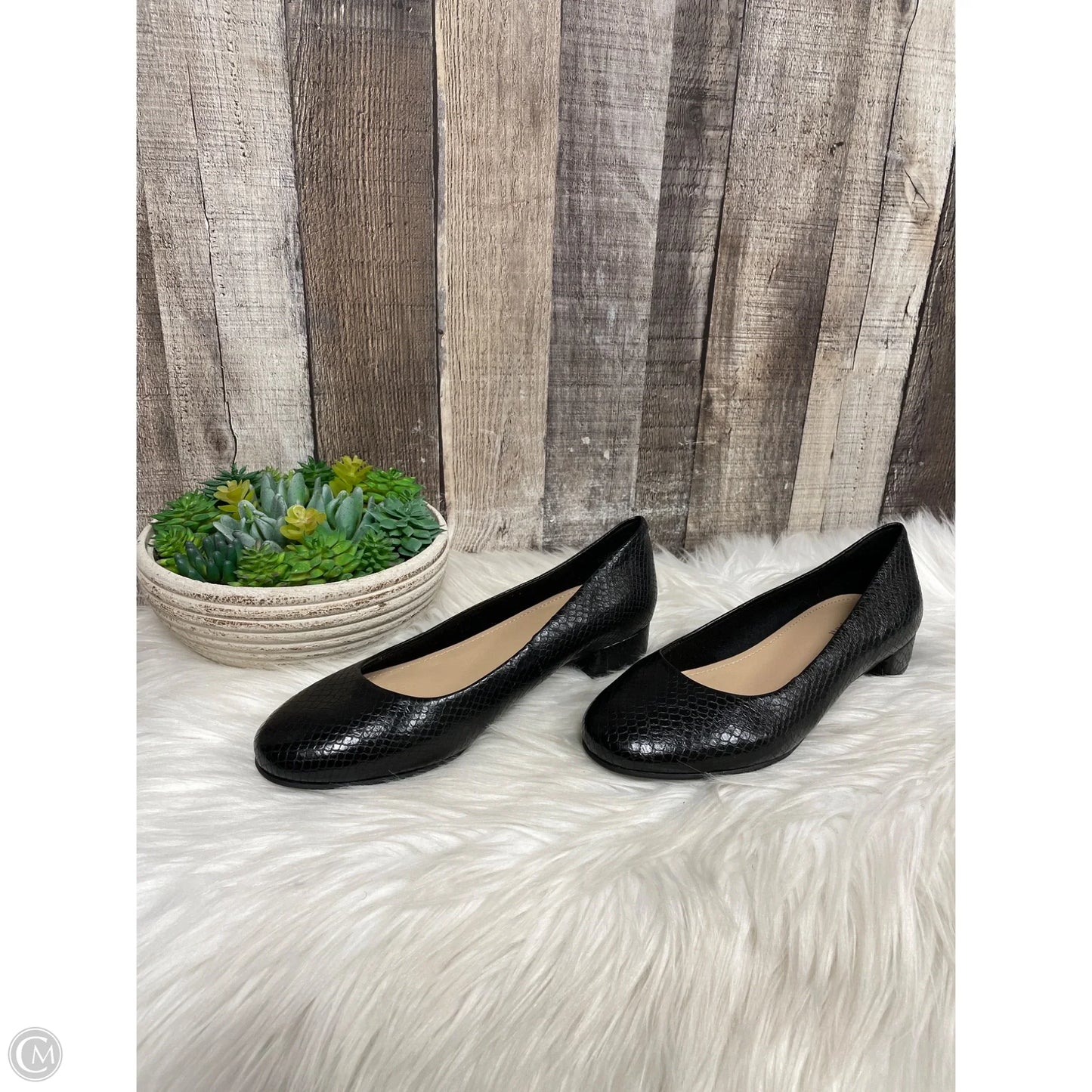 Shoes Flats By Easy Spirit In Black, Size: 5.5