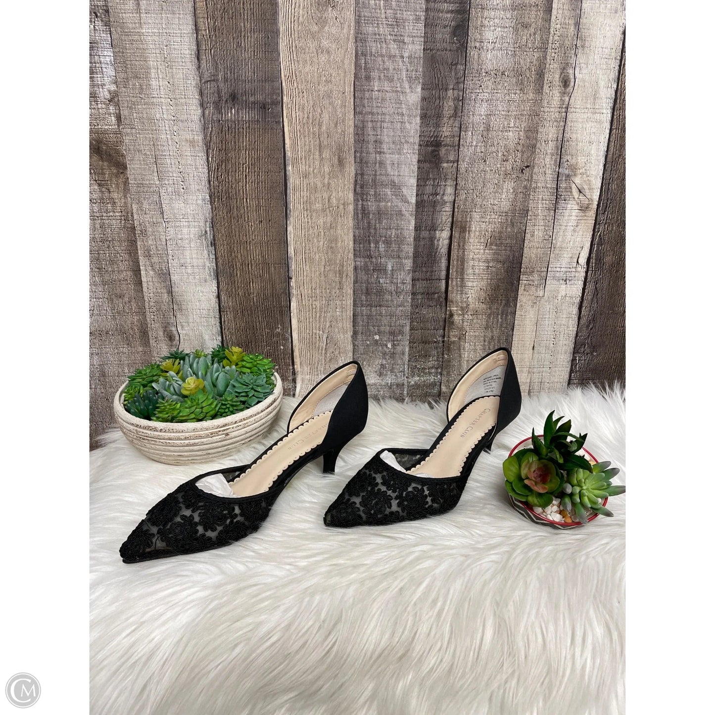 Shoes Heels Kitten By Charter Club In Black, Size: 7.5