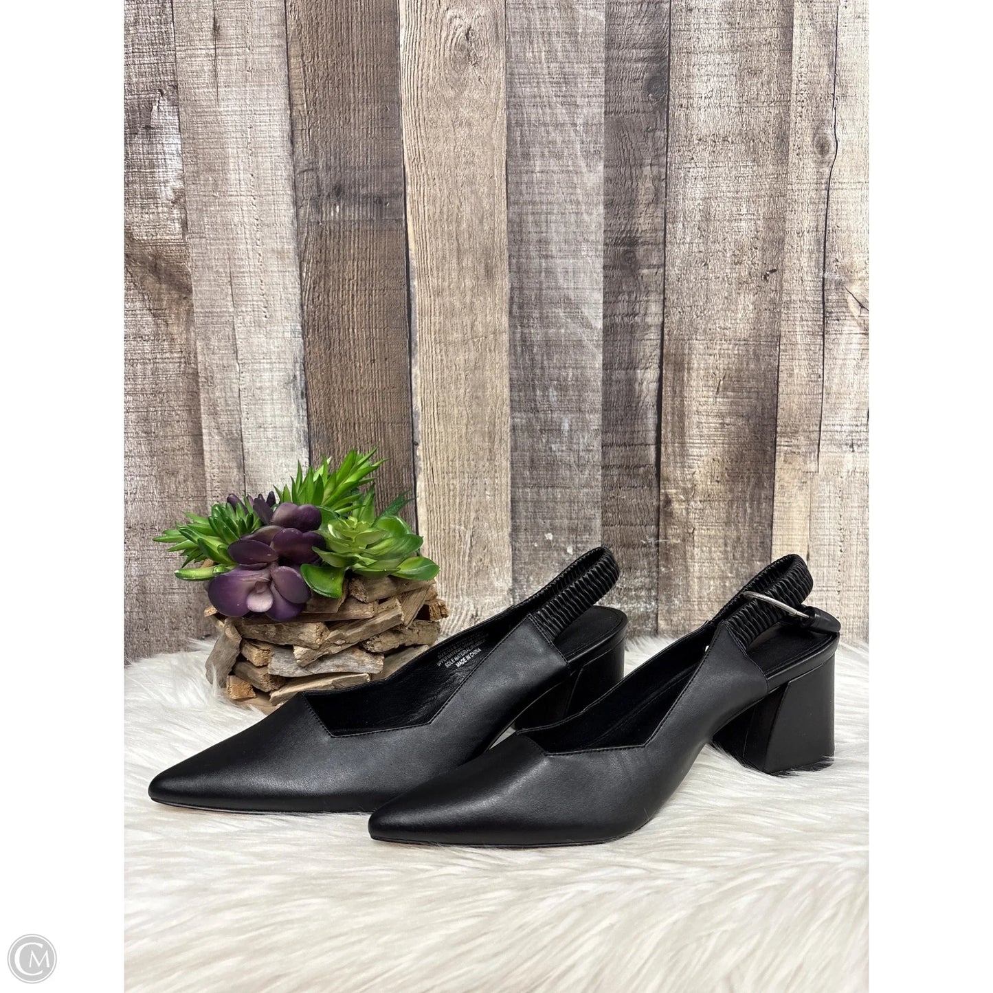 Shoes Heels Block By French Connection In Black, Size: 8.5