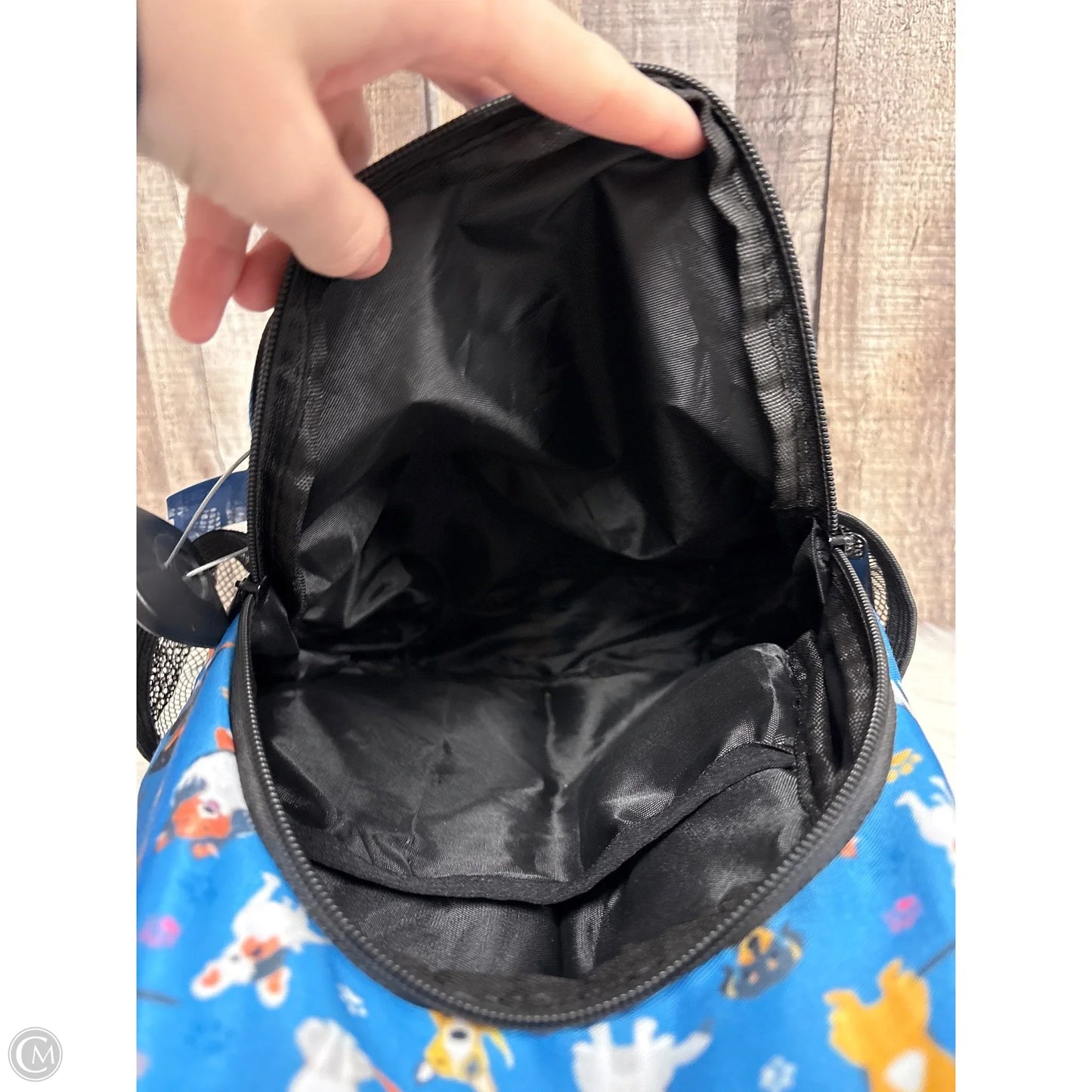 Backpack By Cmf, Size: Small