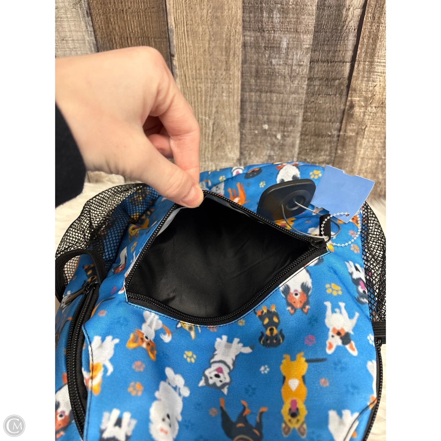 Backpack By Cmf, Size: Small