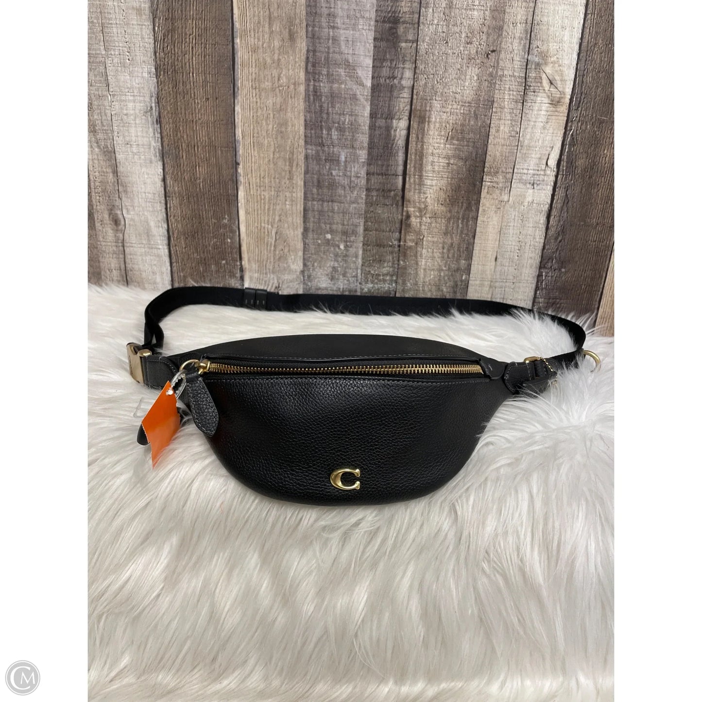 Belt Bag Designer By Coach, Size: Medium