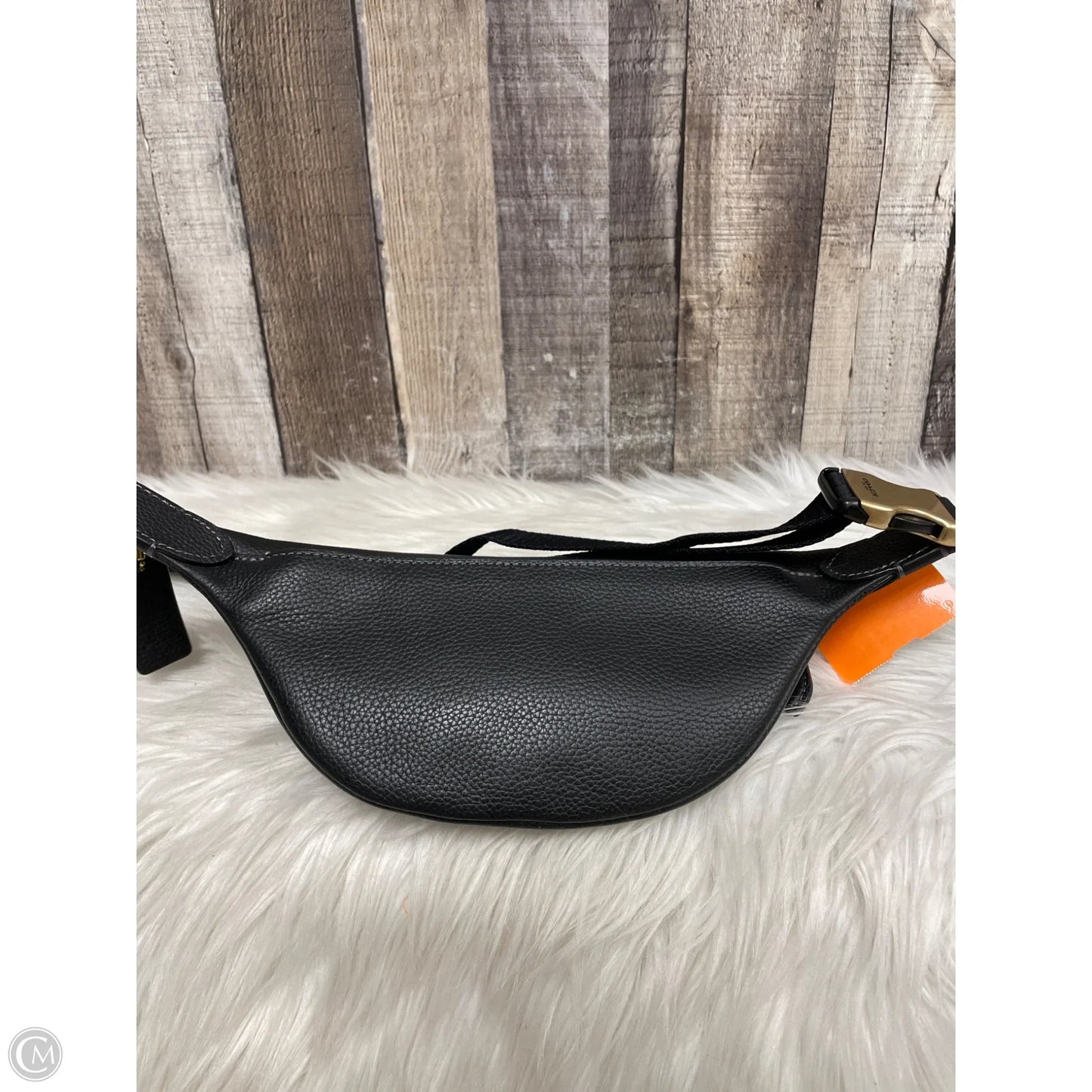 Belt Bag Designer By Coach, Size: Medium