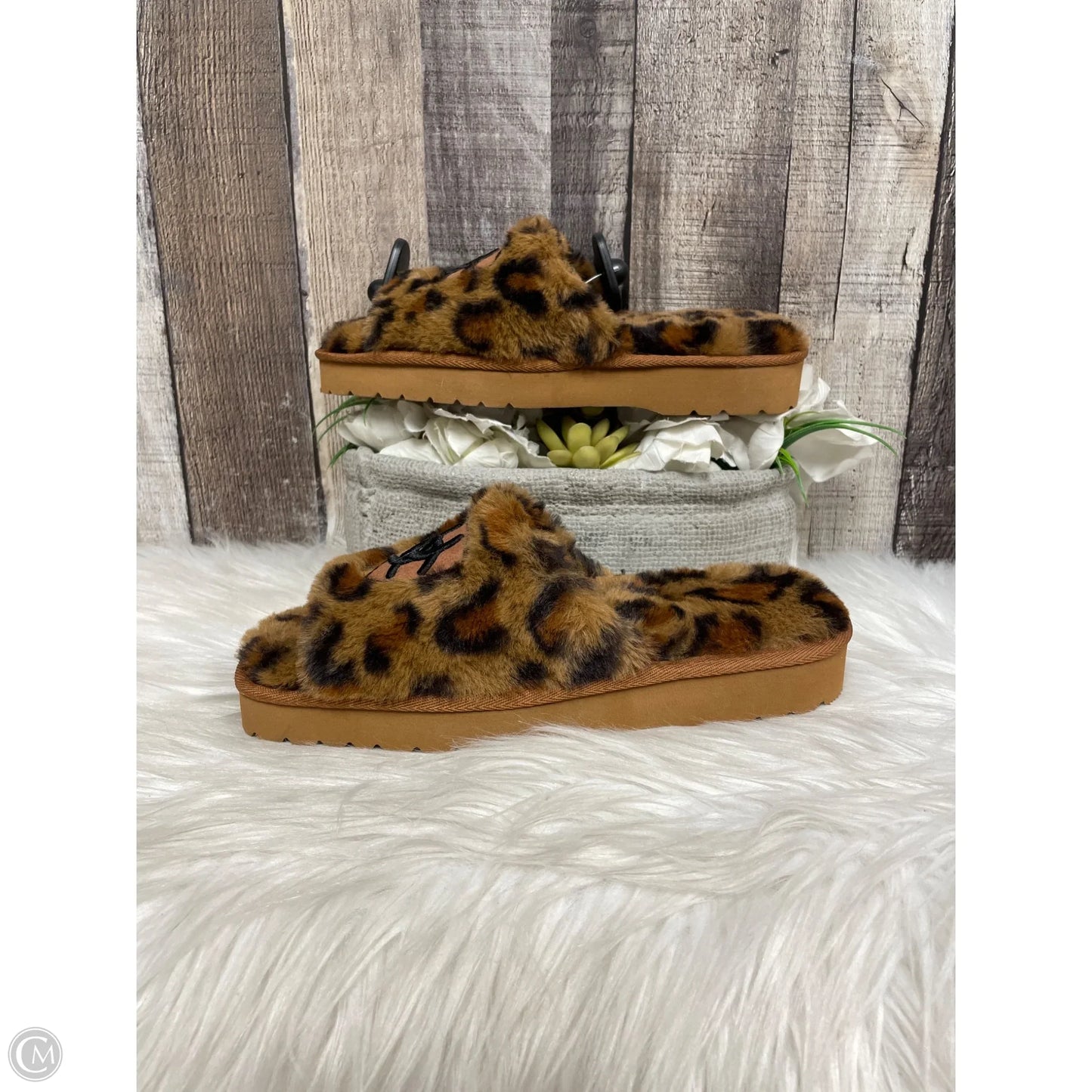 Sandals Heels Wedge By Ariat In Animal Print, Size: 6