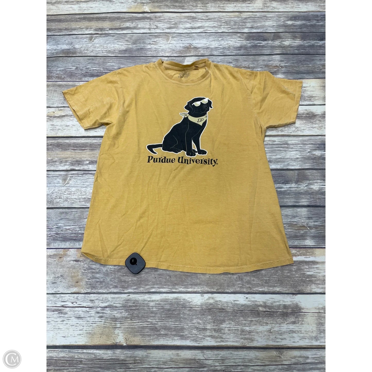 Top Short Sleeve Basic By Cme In Gold, Size: M