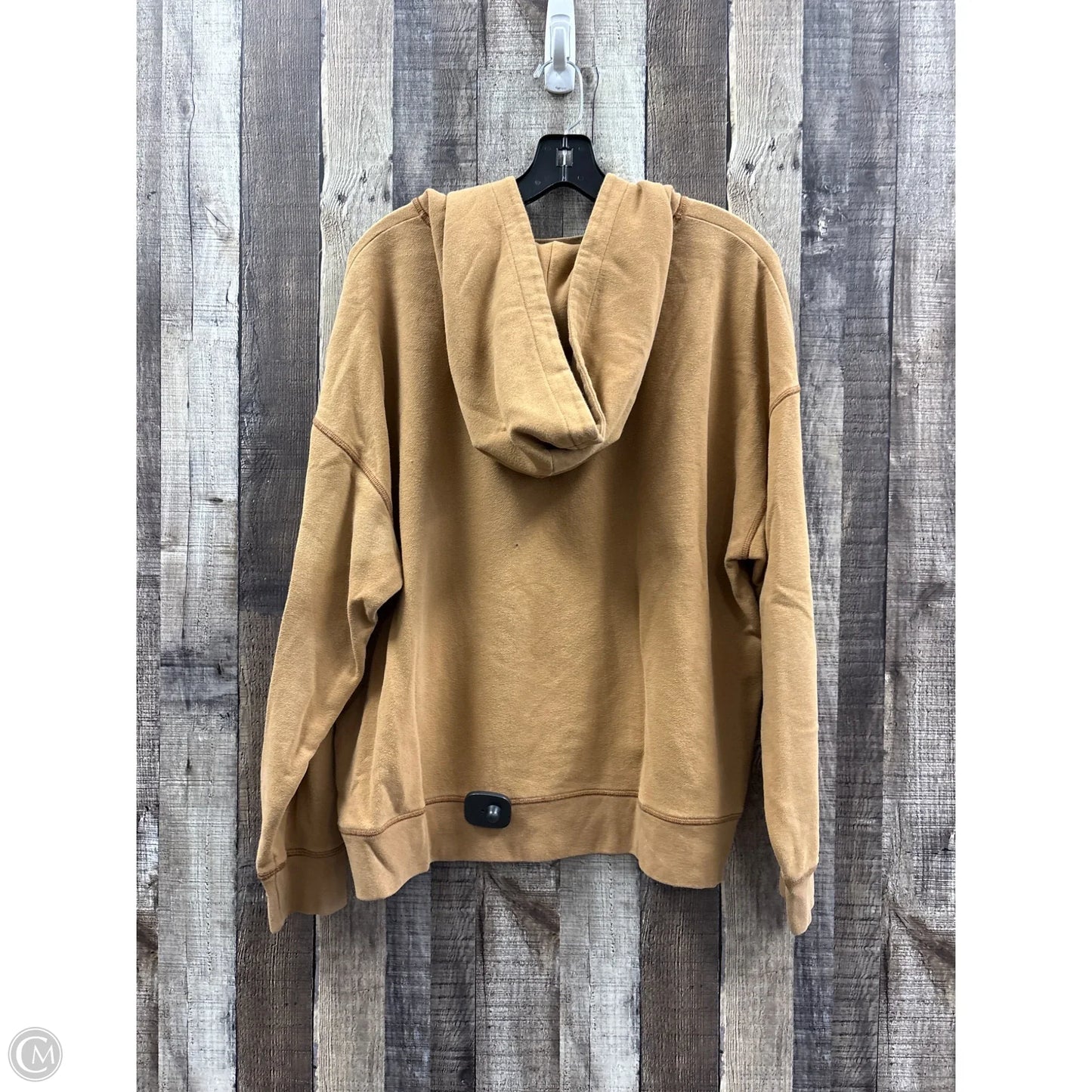 Sweatshirt Hoodie By American Eagle In Tan, Size: L