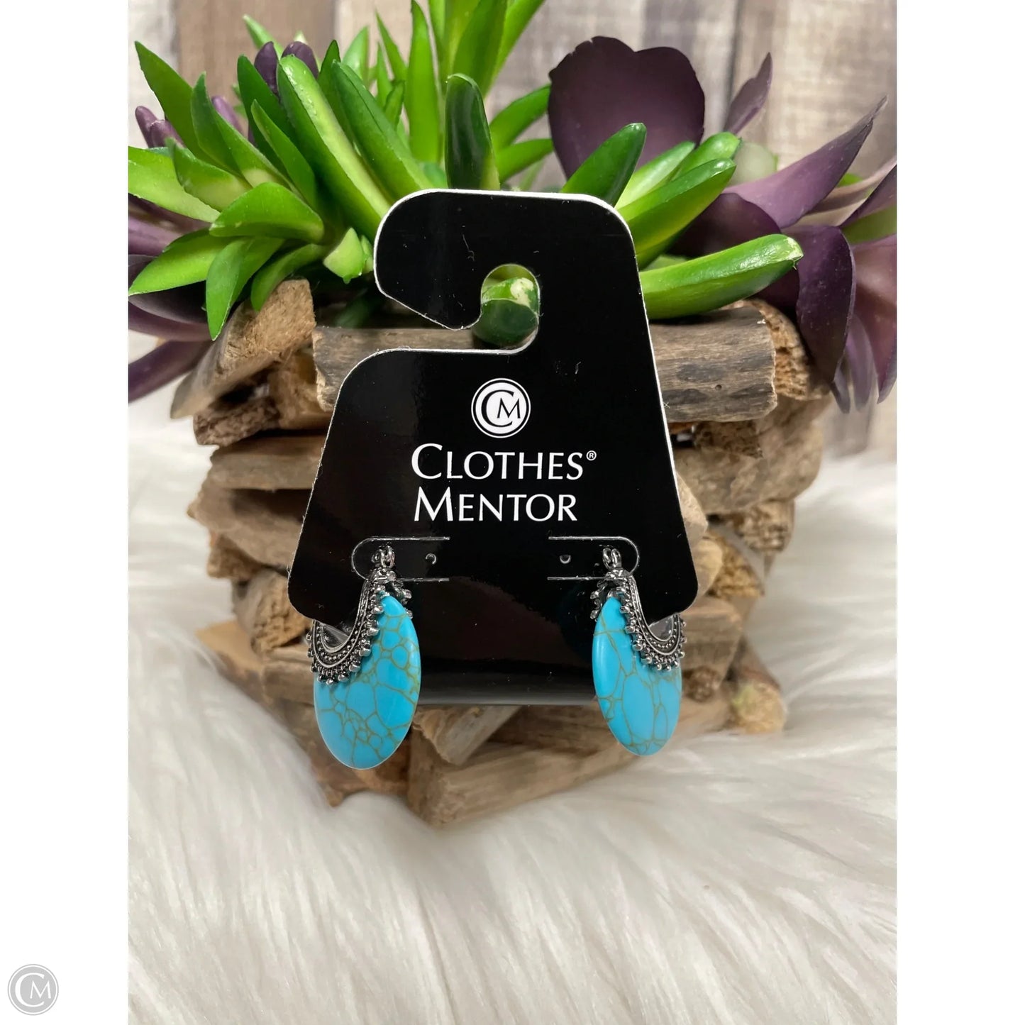 Earrings Dangle/drop By Cme