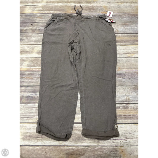 Pants Wide Leg By Sincerely Jules In Taupe, Size: Xl